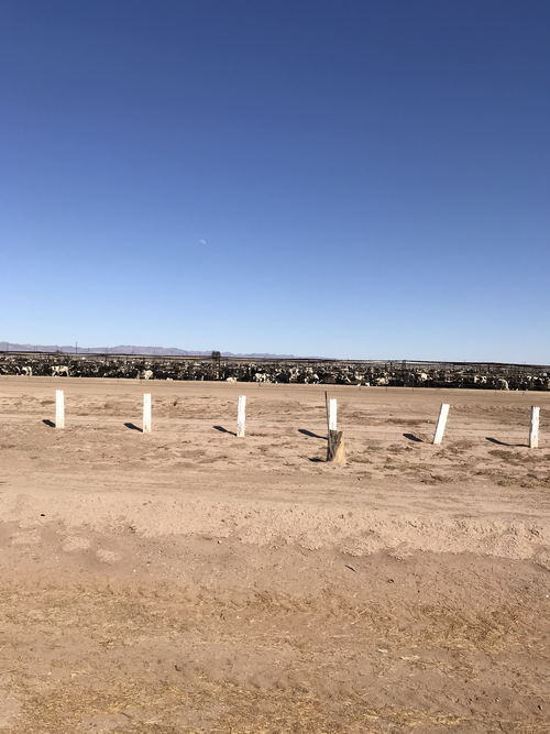 Salton Sea Area - 2015-2020 Photos